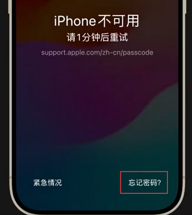 凤台苹果手机密码维修分享iPhone忘记了刚设置的密码 